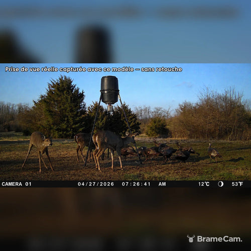Full-HD-Wildkamera 1080p – Tag & Nacht, 16 MP – 2